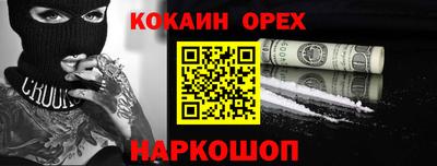 спиды Кингисепп