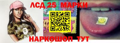 спиды Кингисепп