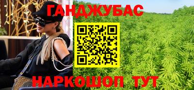 спиды Кингисепп