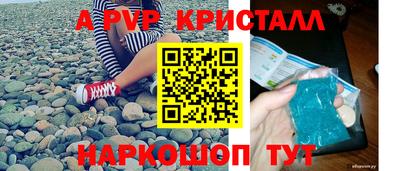 спиды Кингисепп